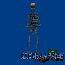 1771105714.skelet.jpg.original