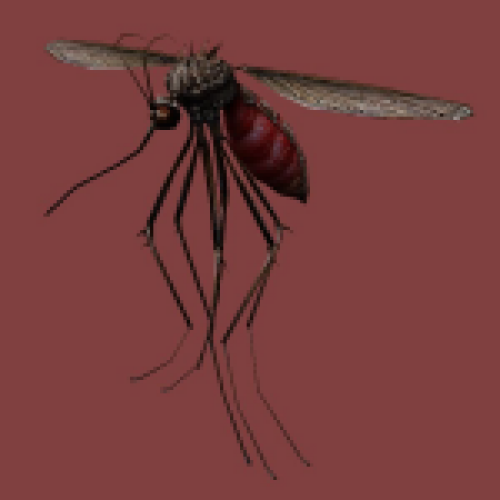 CSO Mosquito
