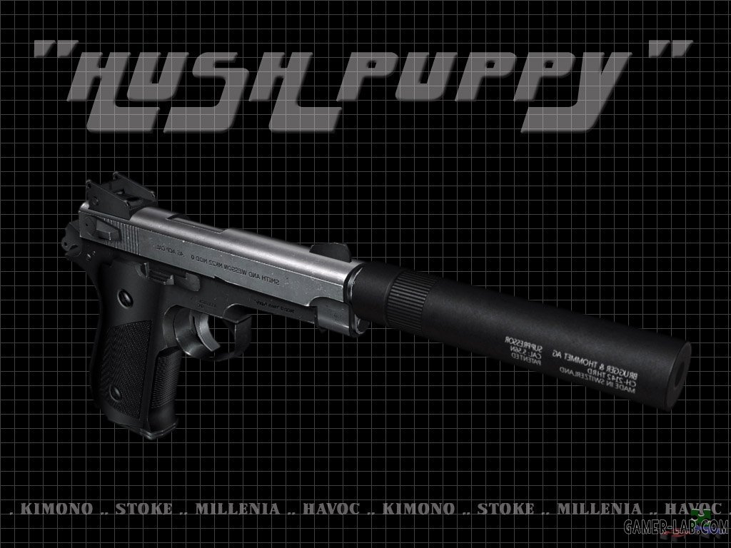 mk22 hush puppy USP CounterStrike Condition Zero Weapon models