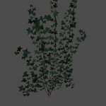 pc_Ground_Ivy_Tile