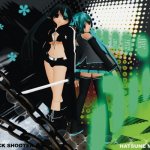 Hatsune Miku & Black Rock Shooter