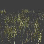 grass_pack_big