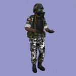 hgrunt2