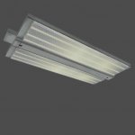 flourescent_bisection