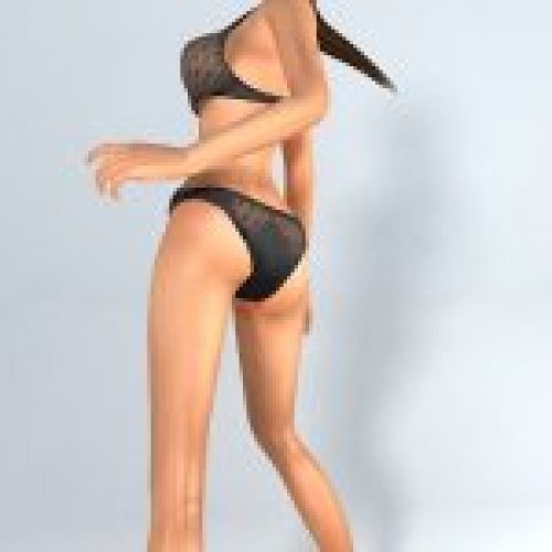 laracroft bikini ragdoll