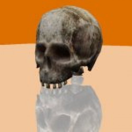 HD Half-Life Bones