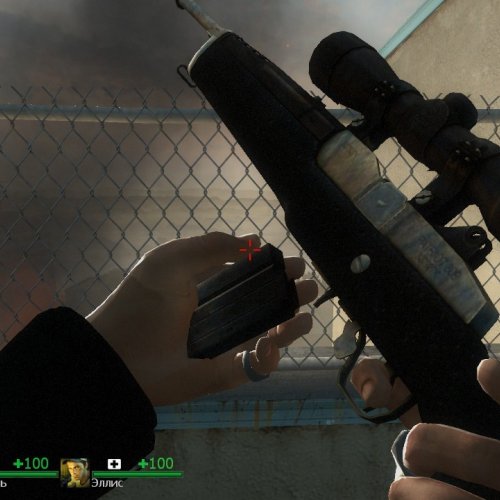 Hunter_Rifle_Seedy_(L4D2)