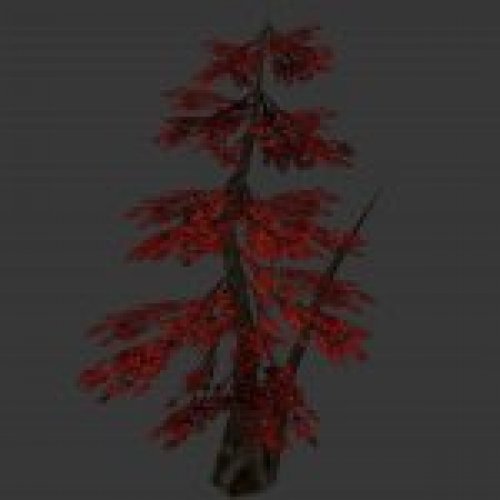 tree_japan_maple_red.mdl