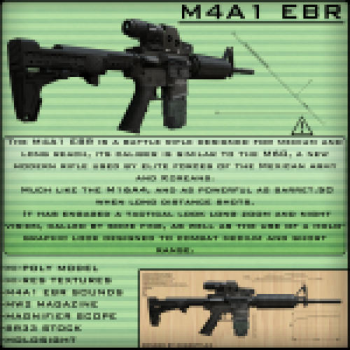 M4A1 EBR + Camuflages