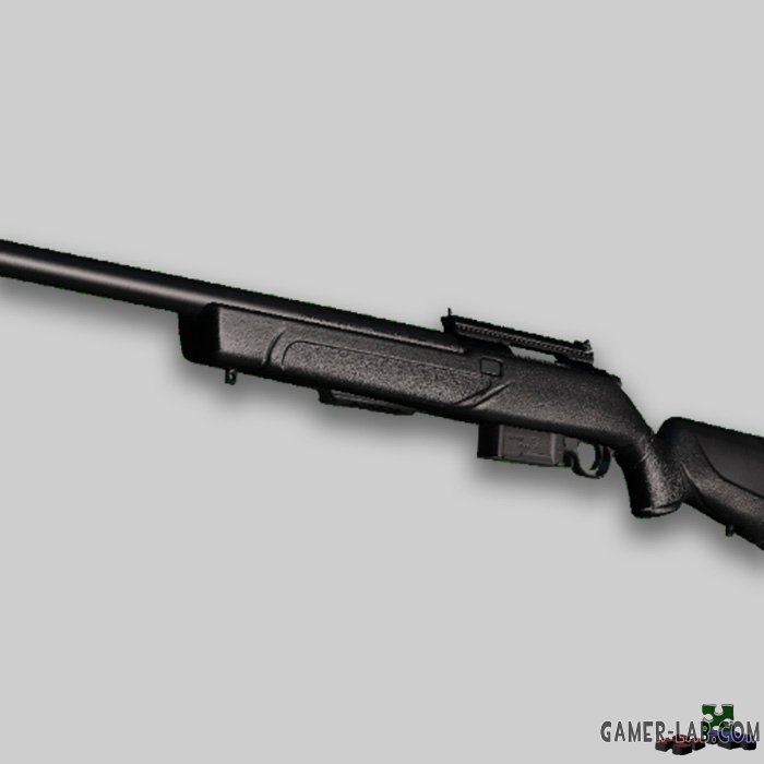 B8 cs. SSG-208. ССГ оружие. SP-R. Ssg558