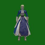 FSNsaber
