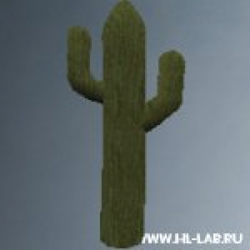 cactus03.zip