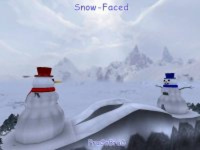 CTF-XMC-SnowFaced