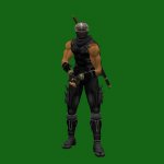 NinjaGaiden2