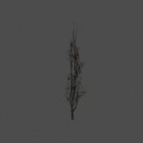 dead_tree12