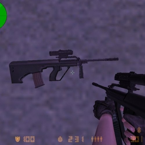 Steyr Aug A2 + Hav0c s Animations (CZ ARMS)