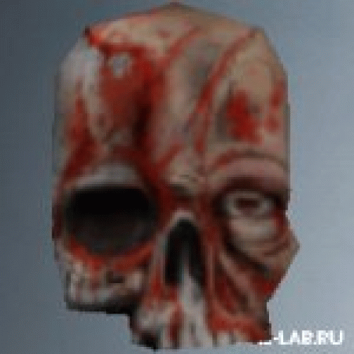 gib_skull