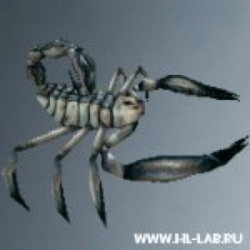 scorpion_large.zip