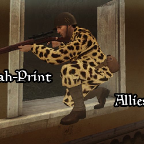 Cheetah_Print_Allies