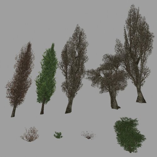 деревья и кусты