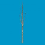 lowpoly_treetrunk5
