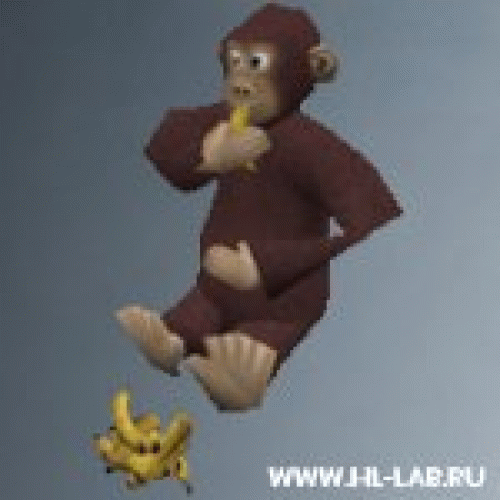 monkey_crash.zip