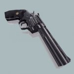 Colt Python .357 grey