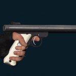 Vee&acute;s Ruger MK1 .22