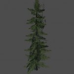 granmodel2