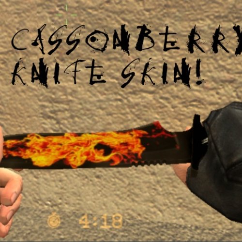 Teh_Cassonberry_s_first_knife