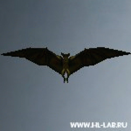 giant_bat