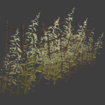 grass_pack1b_line