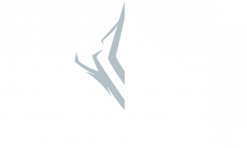 Predecessor (Раздача в EpicGamesStore)