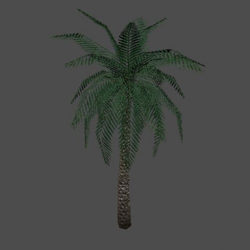 palmtree_green01