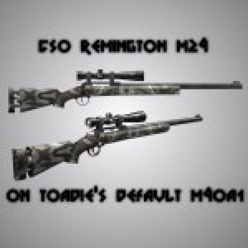 CSO Remington M24 On DEFAULT M40a1