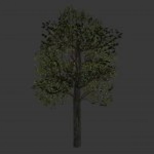 tree2_scaled.mdl
