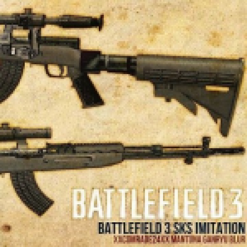 Battlefield3 SKS Imitation(only v_)