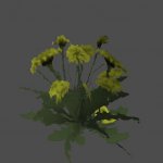 AA_Flower02b_NK_SMesh