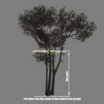 4 дерева из Left 4 Dead в одной модели