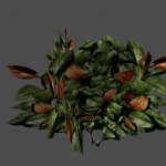 buisson27