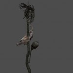 fnv_bonetree01