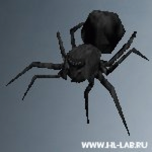 giant_spider.zip