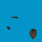 Опавшие листья