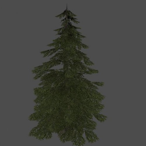 pinetree