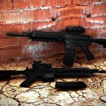 Twinke_and_AcidSnake_HK416