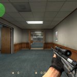 Timo&acute;s White Striped Scout