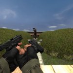 Timmy&acute;s Dual P228&acute;s