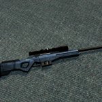 Winter Awp
