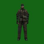 BigBoss_DTiger