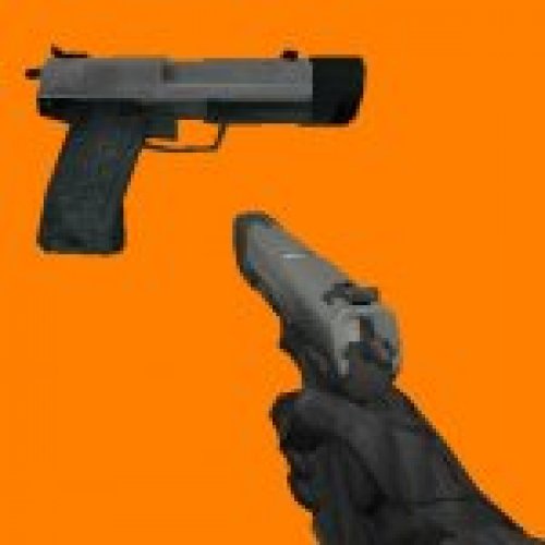 HL2 Pistol + Black DSS Skin + HEV 4